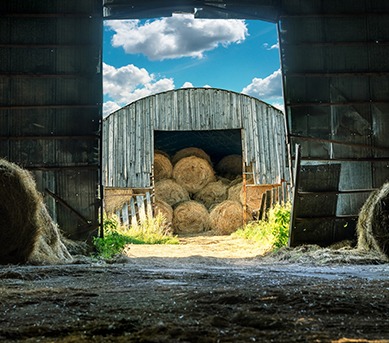 Barn Conversions in Wrexham